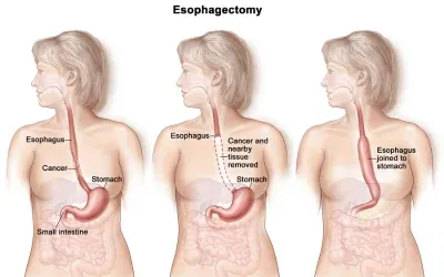 Obstetrics & Gynecology