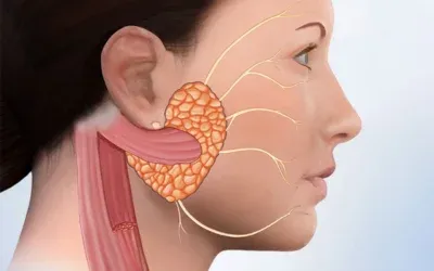 Obstetrics & Gynecology