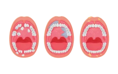 Obstetrics & Gynecology