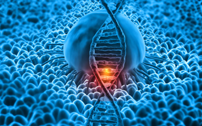 Obstetrics & Gynecology