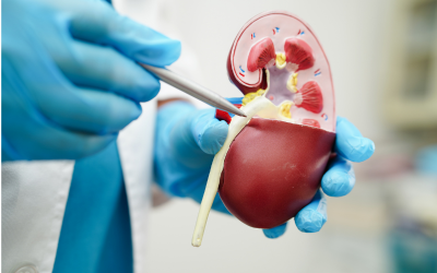 Obstetrics & Gynecology