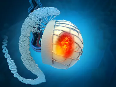 head and neck cancer surgery